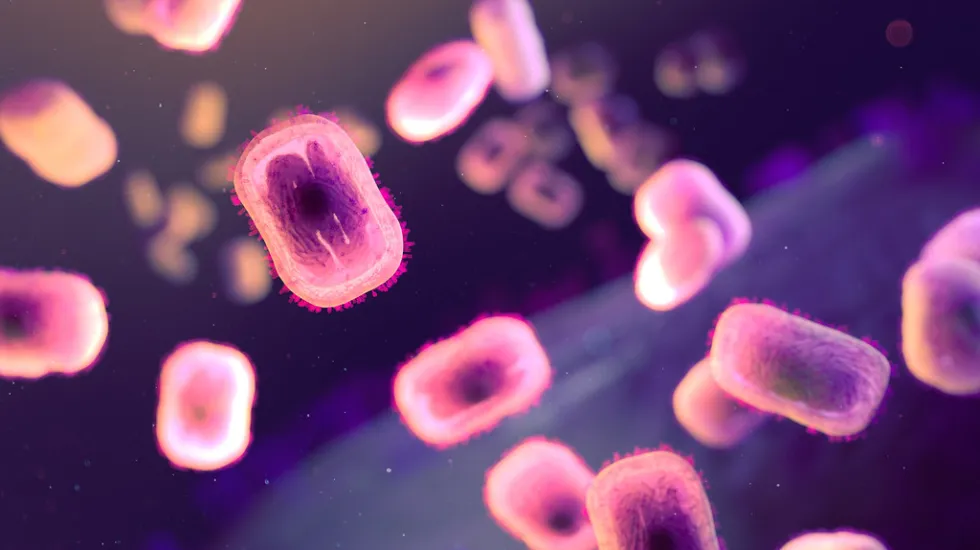 monkeypox virus under microscope