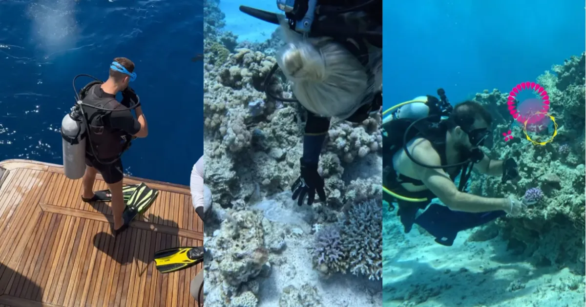 Zain Jordan Joins Red Sea Cleanup, Extracting 280 KG of Waste | 7HillsJo